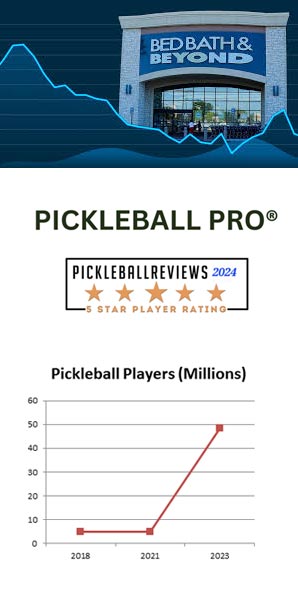 pickleball is fastest growing sport in america and picklemalls are coming to you